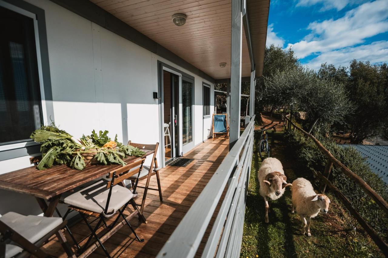 Agriturismo Rose di Pietra CITR 9049-AGR-0001 Pietra Ligure Exterior foto