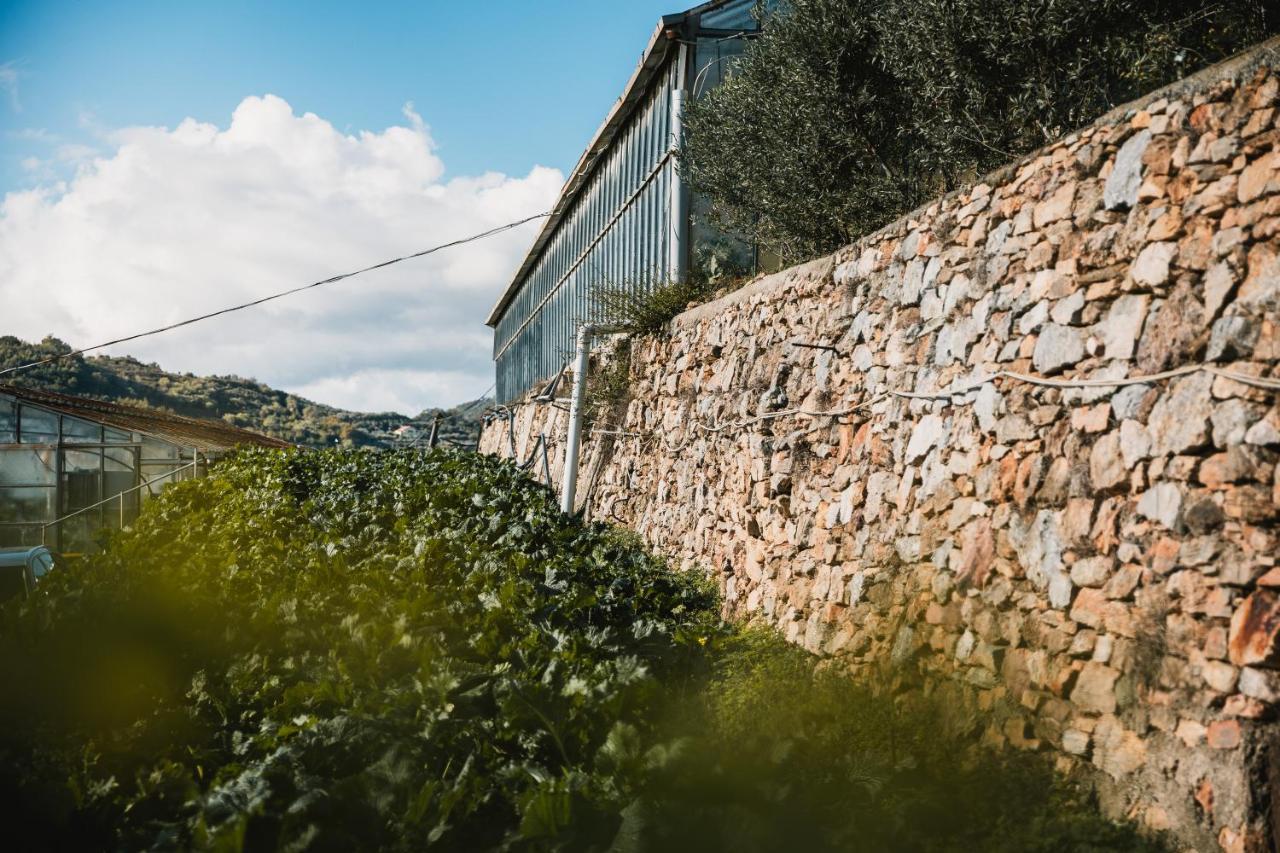 Agriturismo Rose di Pietra CITR 9049-AGR-0001 Pietra Ligure Exterior foto